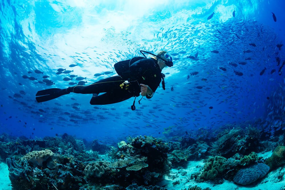 Diver surfacing after a scuba trip in Goa