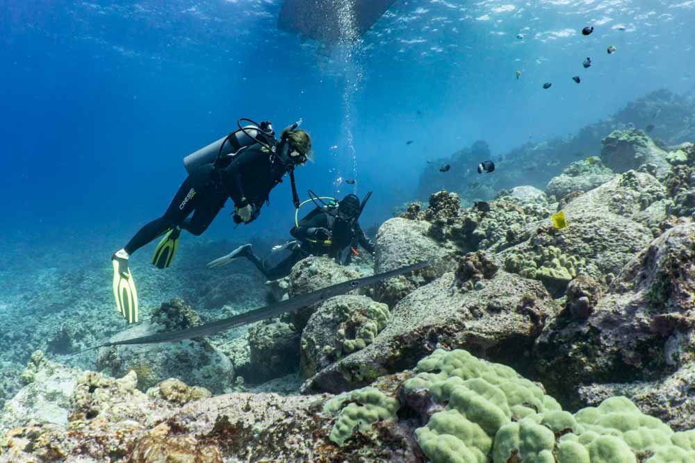Scuba diver exploring the reef at Grand Island, Goa