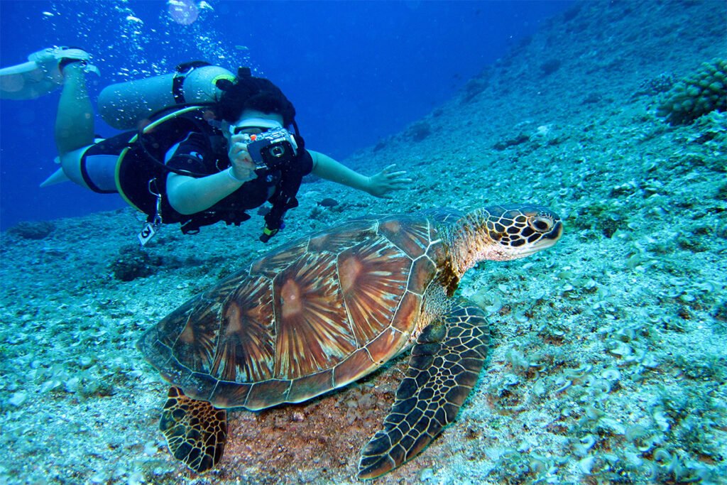 Underwater view of a diver in Goa