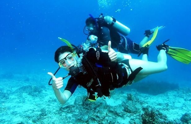 Scuba Diving in Malvan