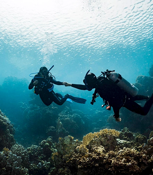 Scuba Diving in North Goa (Scuba Diving in Panjim)